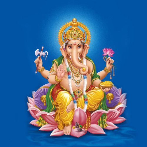 Portfolio Image